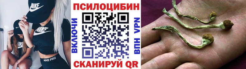Галлюциногенные грибы мицелий  МЕГА сайт  Алушта 