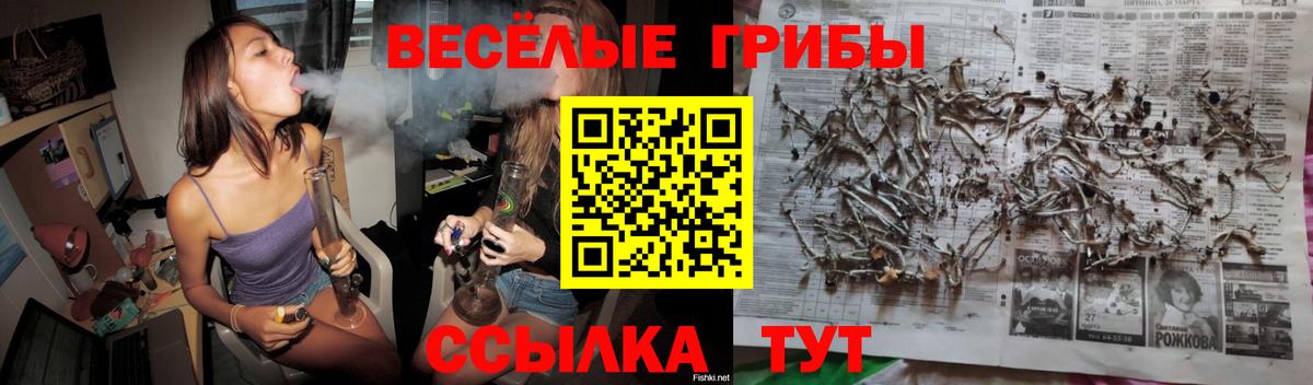 Алушта  Галлюциногенные грибы Psilocybe  Галлюциногенные грибы Cubensis  Вход с VPN 